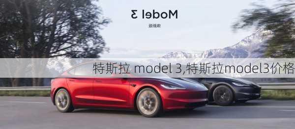 特斯拉 model 3,特斯拉model3价格-第2张图片-立方汽车网