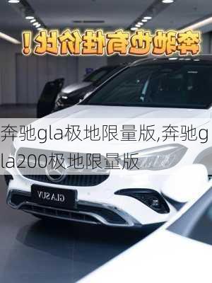 奔驰gla极地限量版,奔驰gla200极地限量版-第3张图片-立方汽车网