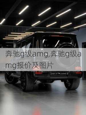 奔驰g级amg,奔驰g级amg报价及图片-第3张图片-立方汽车网