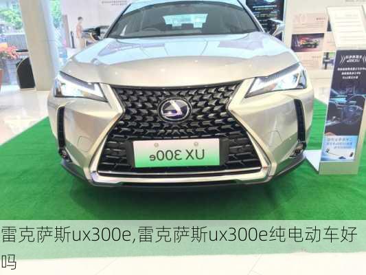 雷克萨斯ux300e,雷克萨斯ux300e纯电动车好吗-第1张图片-立方汽车网