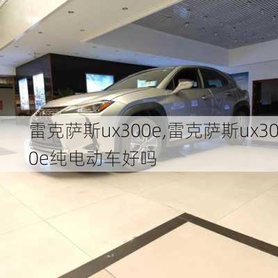 雷克萨斯ux300e,雷克萨斯ux300e纯电动车好吗-第3张图片-立方汽车网