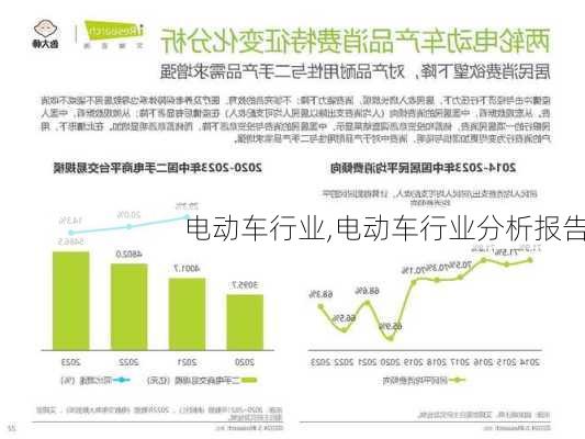 电动车行业,电动车行业分析报告-第1张图片-立方汽车网