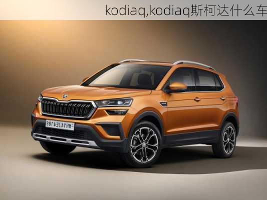 kodiaq,kodiaq斯柯达什么车-第1张图片-立方汽车网