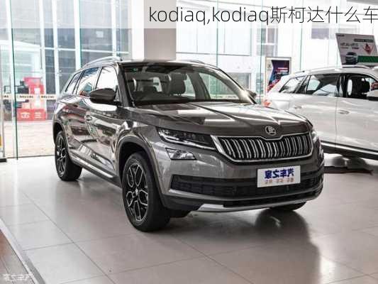 kodiaq,kodiaq斯柯达什么车-第2张图片-立方汽车网