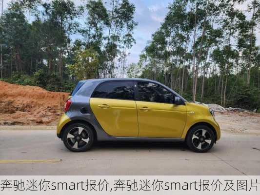 奔驰迷你smart报价,奔驰迷你smart报价及图片-第3张图片-立方汽车网