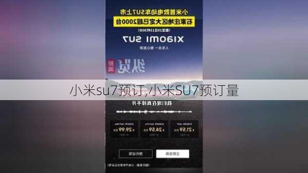 小米su7预订,小米SU7预订量-第3张图片-立方汽车网