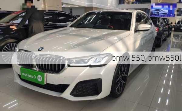 bmw 550,bmw550li-第3张图片-立方汽车网