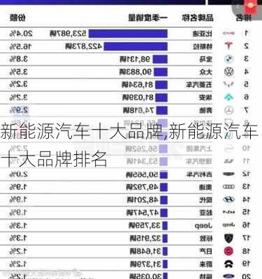 新能源汽车十大品牌,新能源汽车十大品牌排名-第1张图片-立方汽车网