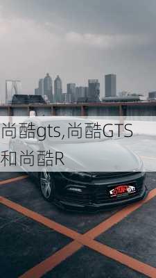 尚酷gts,尚酷GTS和尚酷R