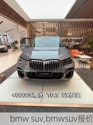 bmw suv,bmwsuv报价-第1张图片-立方汽车网