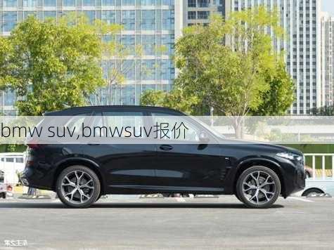 bmw suv,bmwsuv报价-第2张图片-立方汽车网