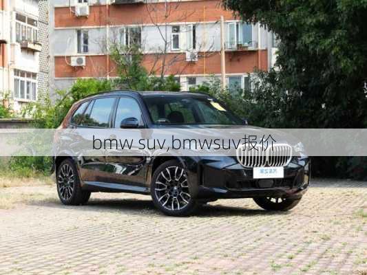 bmw suv,bmwsuv报价-第3张图片-立方汽车网