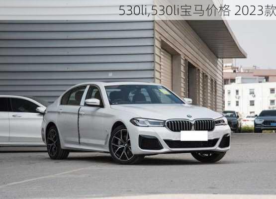 530li,530li宝马价格 2023款-第1张图片-立方汽车网