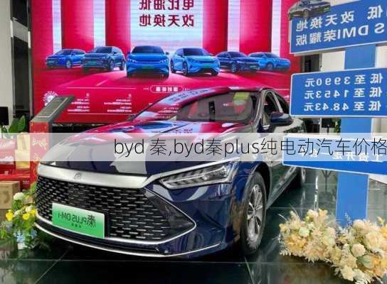 byd 秦,byd秦plus纯电动汽车价格-第3张图片-立方汽车网