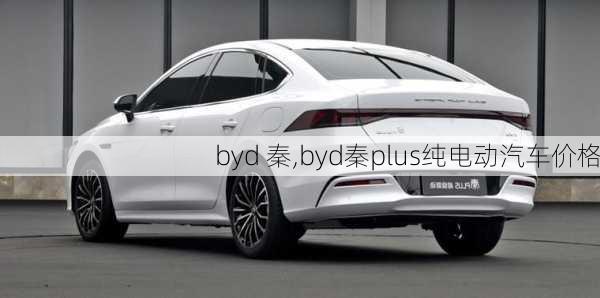 byd 秦,byd秦plus纯电动汽车价格-第2张图片-立方汽车网