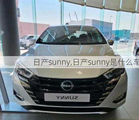 日产sunny,日产sunny是什么车-第3张图片-立方汽车网