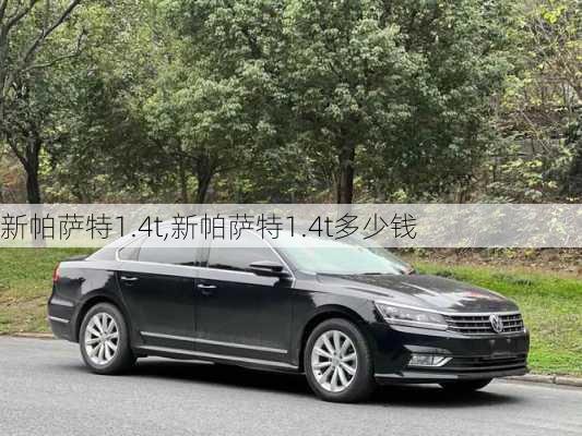 新帕萨特1.4t,新帕萨特1.4t多少钱-第2张图片-立方汽车网