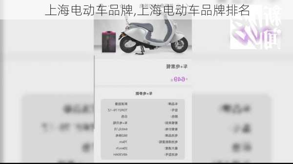 上海电动车品牌,上海电动车品牌排名-第3张图片-立方汽车网