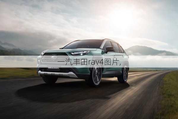 一汽丰田rav4图片,-第3张图片-立方汽车网