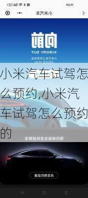 小米汽车试驾怎么预约,小米汽车试驾怎么预约的-第2张图片-立方汽车网