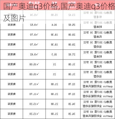 国产奥迪q3价格,国产奥迪q3价格及图片-第2张图片-立方汽车网