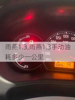 雨燕1.3,雨燕1.3手动油耗多少一公里-第1张图片-立方汽车网