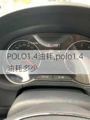 POLO1.4油耗,polo1.4油耗多少-第1张图片-立方汽车网