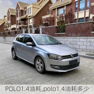 POLO1.4油耗,polo1.4油耗多少-第2张图片-立方汽车网