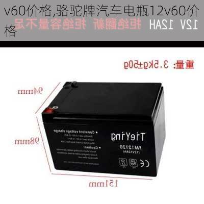 v60价格,骆驼牌汽车电瓶12v60价格-第3张图片-立方汽车网