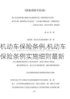 机动车保险条例,机动车保险条例实施细则最新-第1张图片-立方汽车网