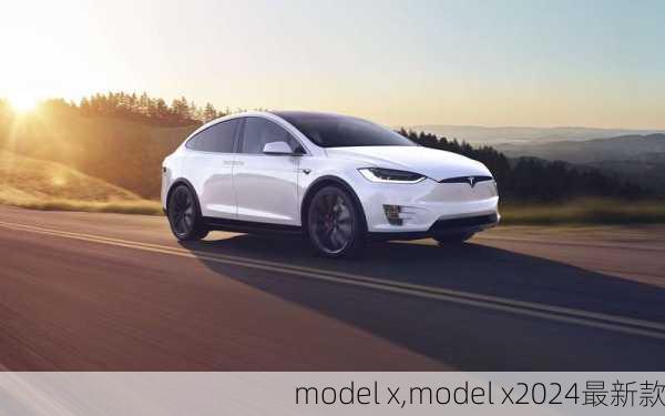 model x,model x2024最新款-第1张图片-立方汽车网