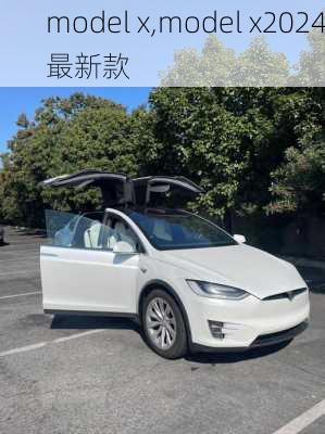 model x,model x2024最新款-第3张图片-立方汽车网