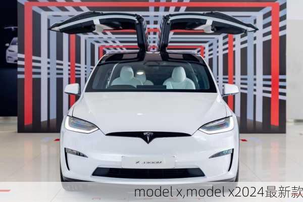 model x,model x2024最新款-第2张图片-立方汽车网