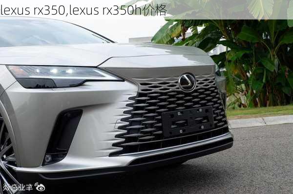 lexus rx350,lexus rx350h价格-第2张图片-立方汽车网