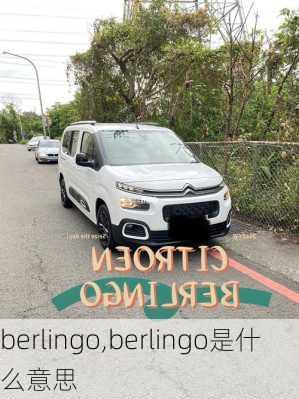 berlingo,berlingo是什么意思-第3张图片-立方汽车网