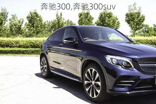 奔驰300,奔驰300suv-第2张图片-立方汽车网