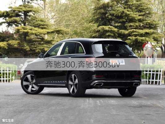 奔驰300,奔驰300suv-第3张图片-立方汽车网