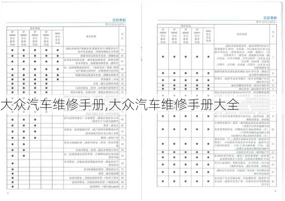 大众汽车维修手册,大众汽车维修手册大全-第2张图片-立方汽车网