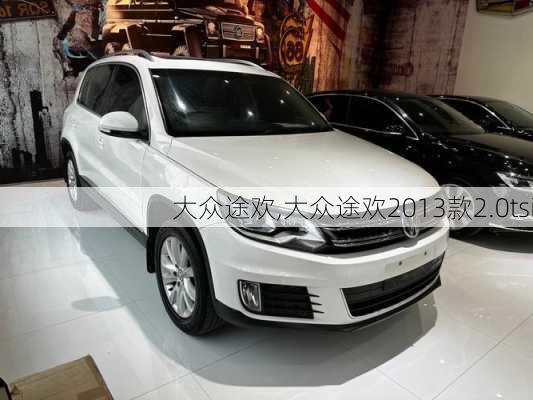 大众途欢,大众途欢2013款2.0tsi-第1张图片-立方汽车网