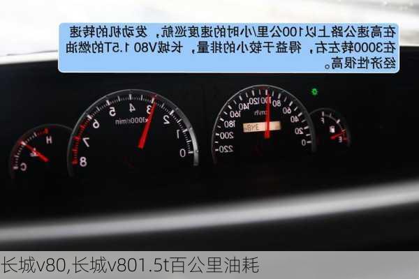 长城v80,长城v801.5t百公里油耗-第1张图片-立方汽车网