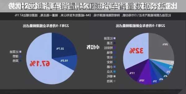 比亚迪汽车销量,比亚迪汽车销量数据分析-第3张图片-立方汽车网