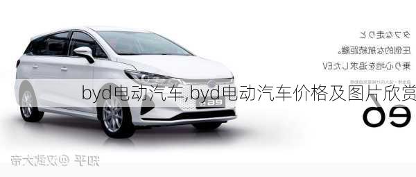 byd电动汽车,byd电动汽车价格及图片欣赏