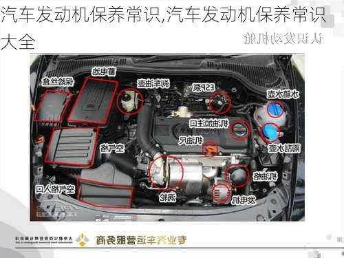 汽车发动机保养常识,汽车发动机保养常识大全-第3张图片-立方汽车网