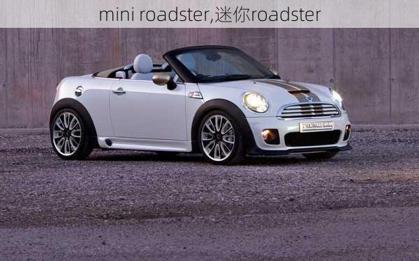 mini roadster,迷你roadster-第2张图片-立方汽车网