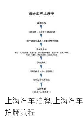 上海汽车拍牌,上海汽车拍牌流程-第2张图片-立方汽车网