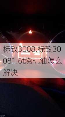 标致3008,标致30081.6t烧机油怎么解决-第3张图片-立方汽车网