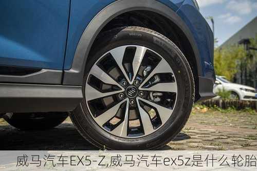 威马汽车EX5-Z,威马汽车ex5z是什么轮胎-第2张图片-立方汽车网