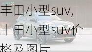 丰田小型suv,丰田小型suv价格及图片-第1张图片-立方汽车网