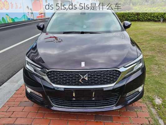 ds 5ls,ds 5ls是什么车-第2张图片-立方汽车网