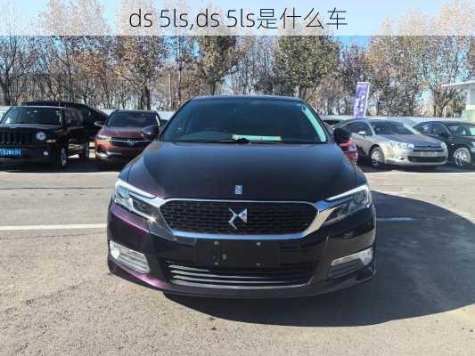 ds 5ls,ds 5ls是什么车-第3张图片-立方汽车网